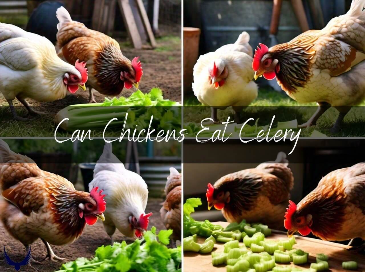 Can Chickens Eat Celery can chickens have celery do chickens eat celery