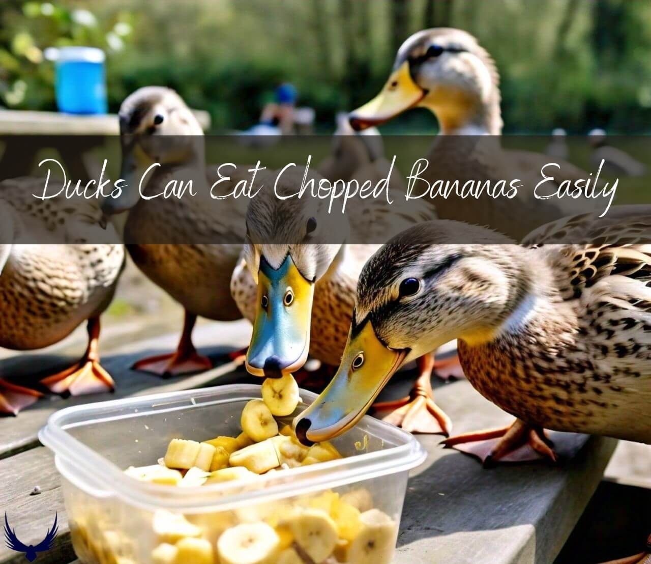 Can Ducks Eat Bananas? All Nutritional Benefits & Risks 2026