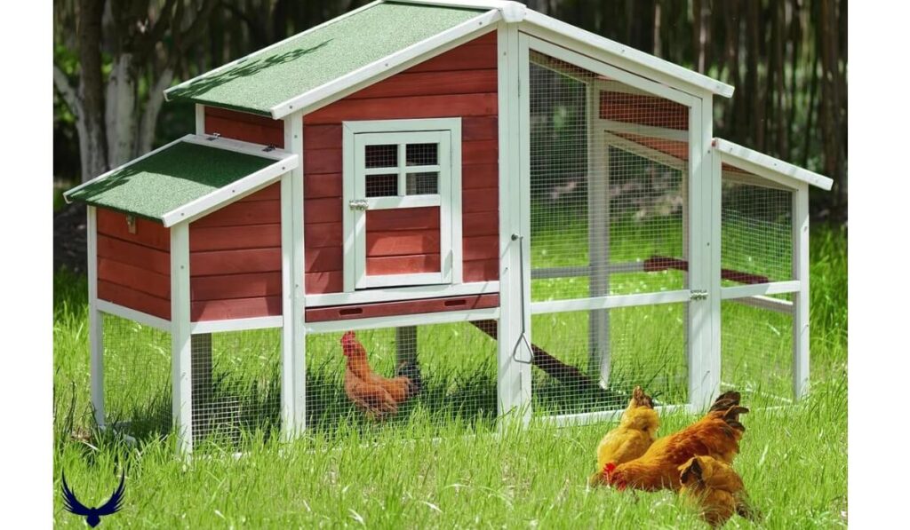 hen house name
chicken coop names
funny chicken coop names
cute chicken coop names
inappropriate chicken coop names
clever chicken coop names
chicken house names