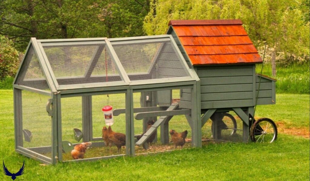 hen house name
chicken coop names
funny chicken coop names
cute chicken coop names
inappropriate chicken coop names
clever chicken coop names
chicken house names