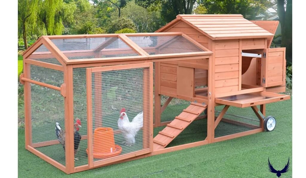 hen house name
chicken coop names
funny chicken coop names
cute chicken coop names
inappropriate chicken coop names
clever chicken coop names
chicken house names